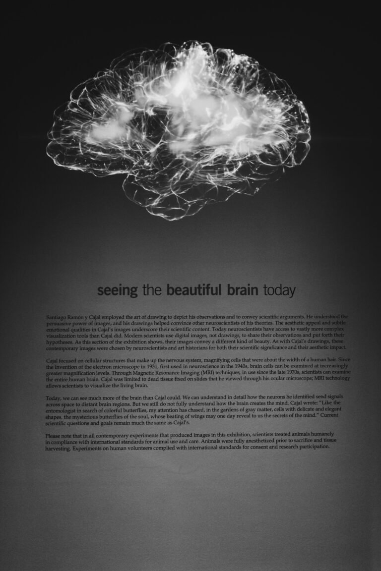 The Fascinating Journey of the Brain: Past, Present, and Future